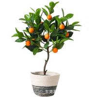 uploads/erp/collection/images/Home Garden/dgjiawang/XU0612796/img_b/XU0612796_img_b_5